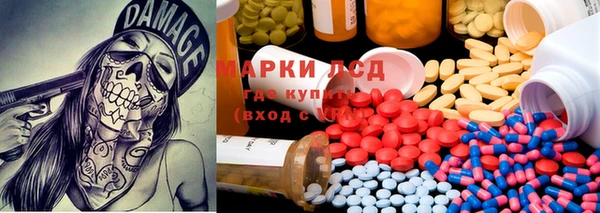 прущие крисы Абаза
