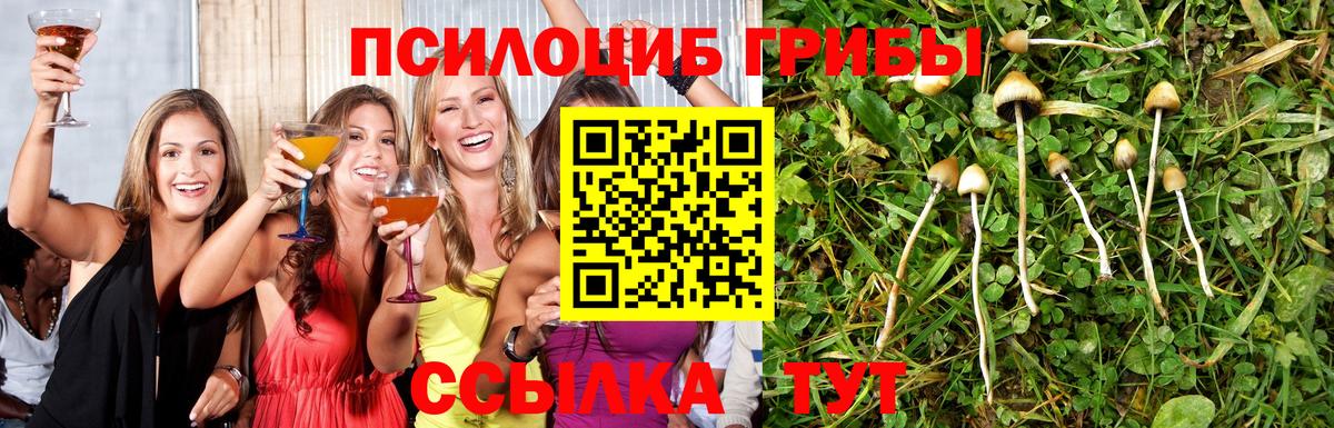 Галлюциногенные грибы Psilocybine cubensis  Вход с VPN  Кохма  Псилоцибиновые грибы прущие грибы 