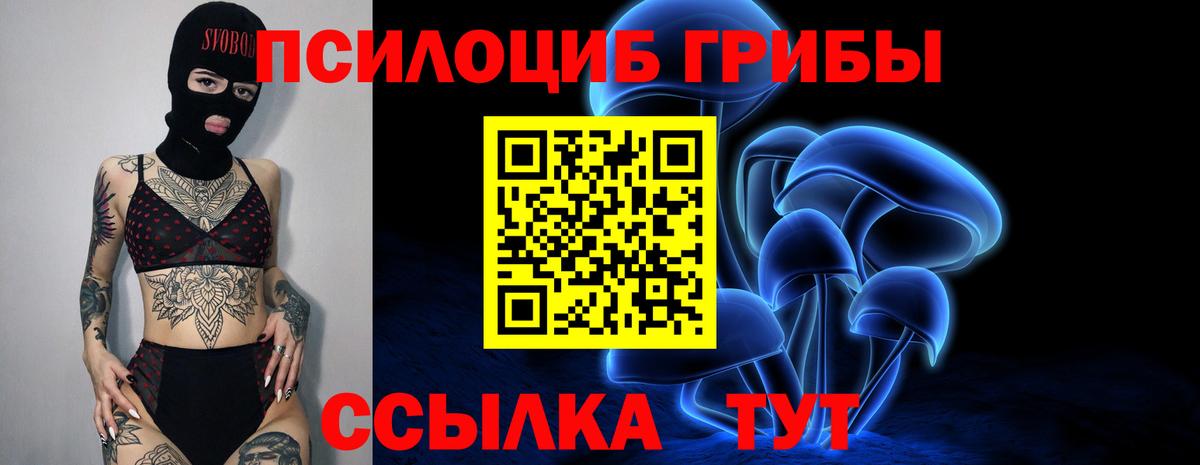 Галлюциногенные грибы мицелий Кохма