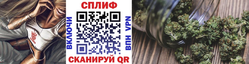 Конопля сатива  Кохма 